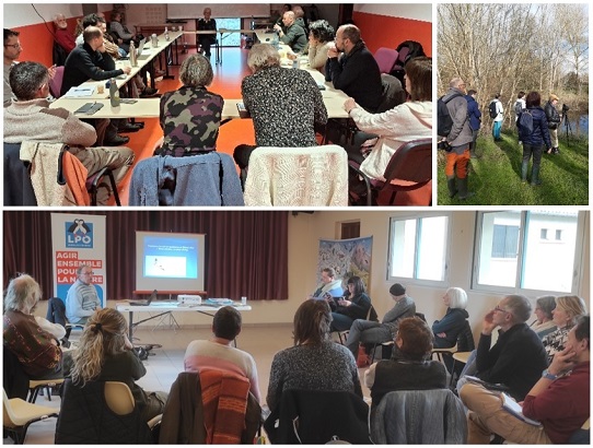 Participez à la gouvernance de la LPO en région Occitanie et Pays catalan